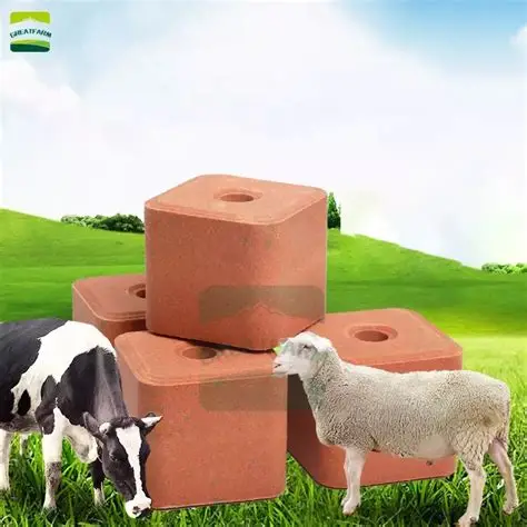 1000T Cattle Salt Blocks Press finished product 2