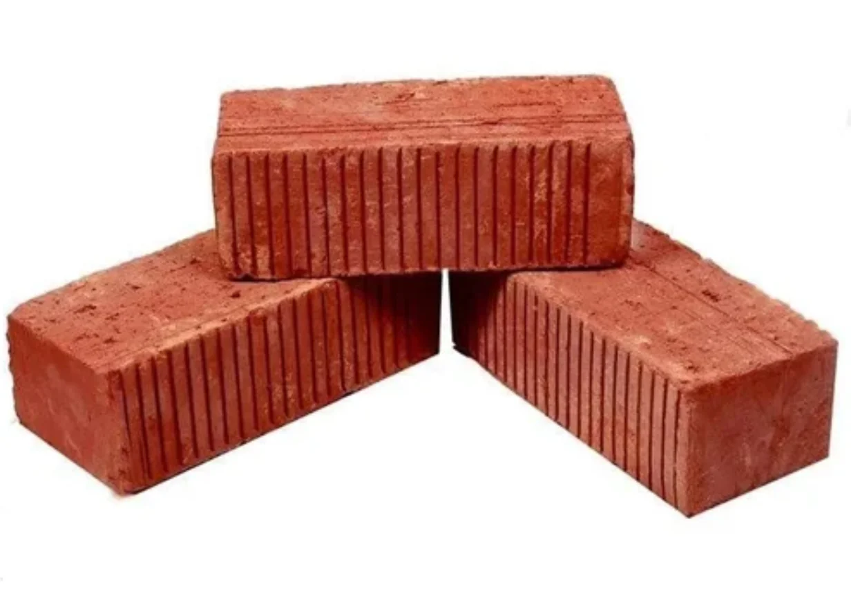 100T CSEB Clay Bricks Press finished product 1