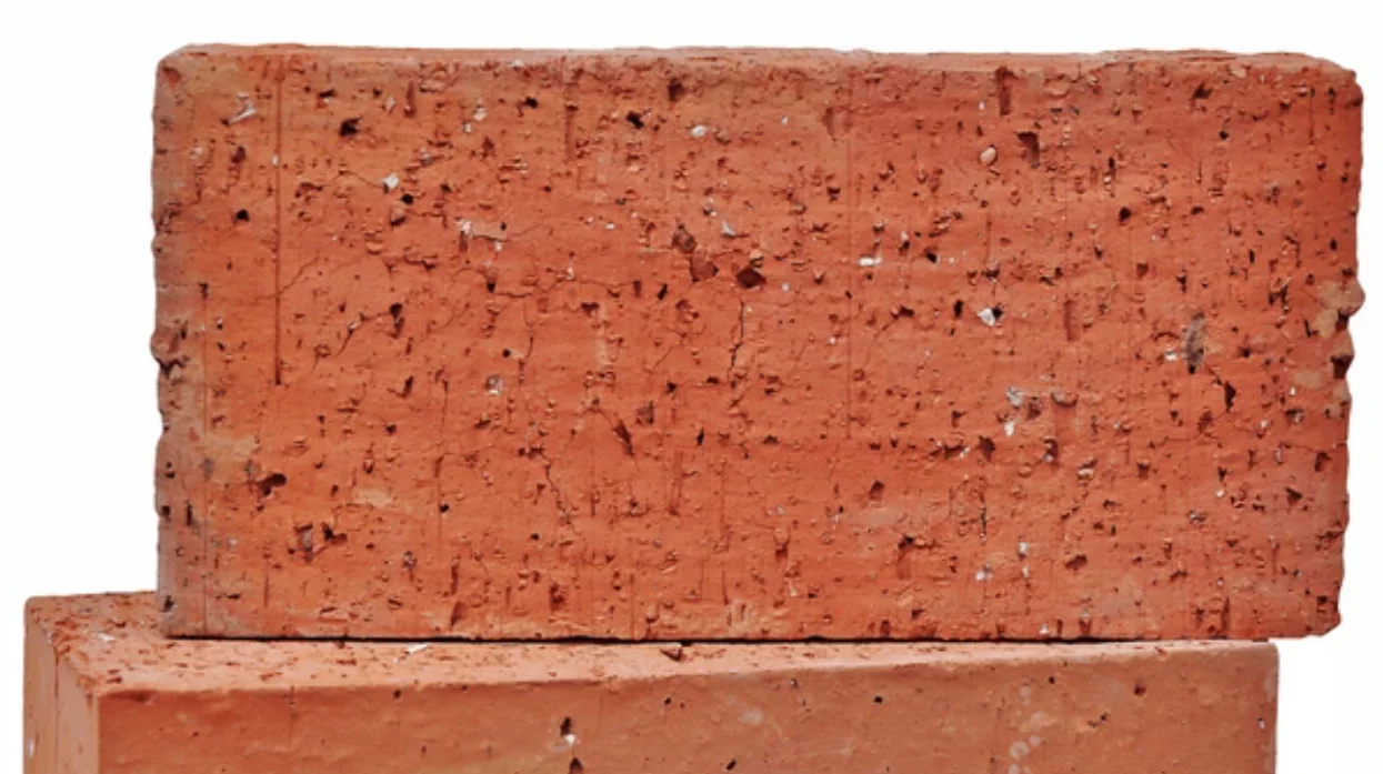 100T CSEB Clay Bricks Press finished product 3