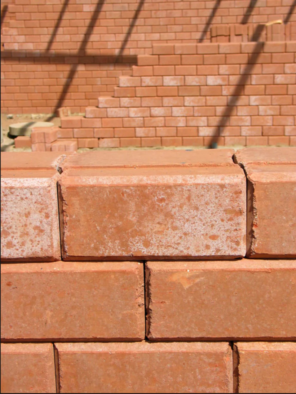 100T CSEB Clay Bricks Press finished product 5