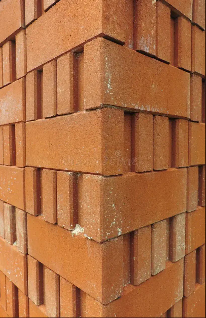 100T CSEB Clay Bricks Press finished product 6