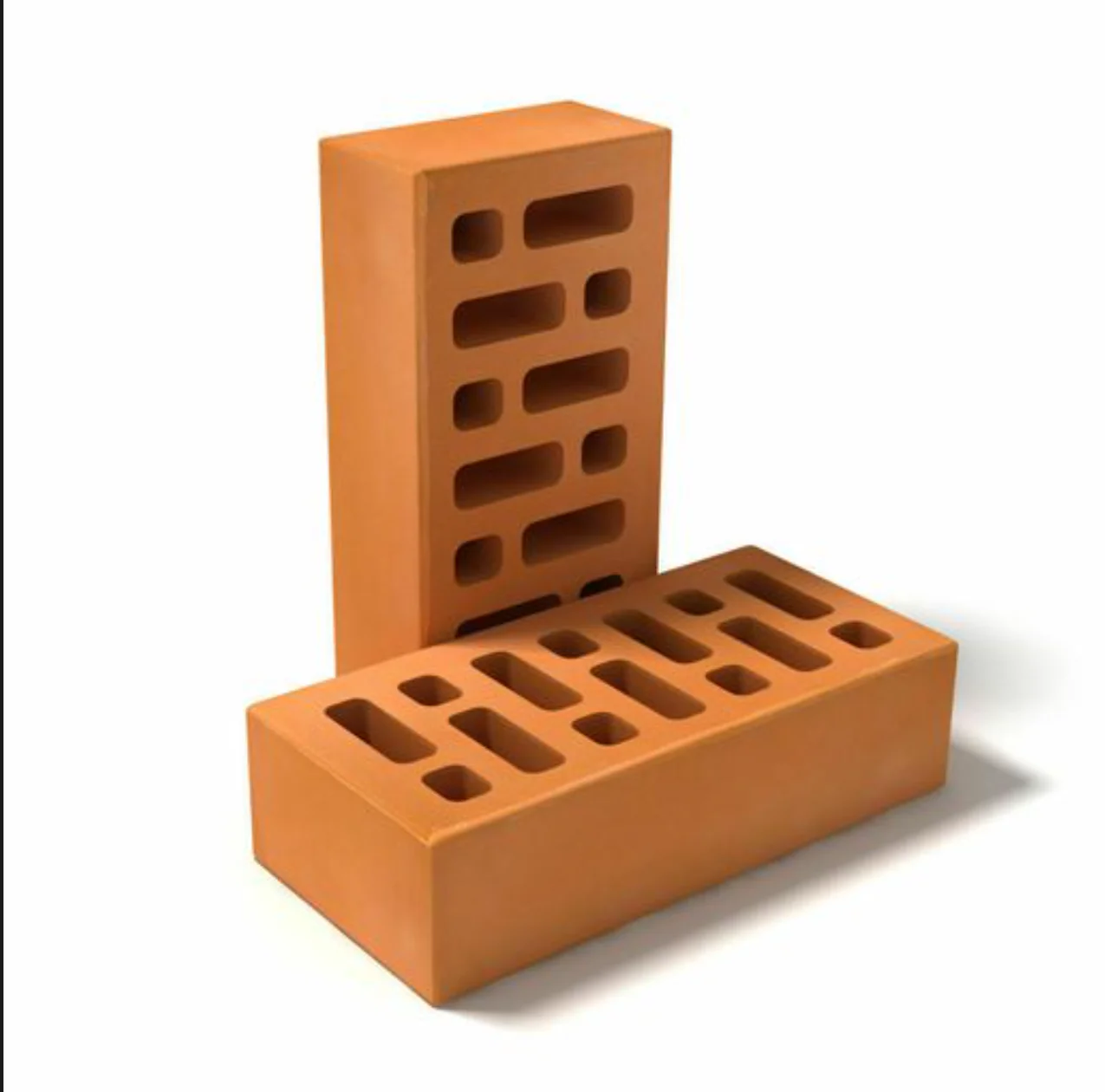 200T CSEB Clay Bricks Press finished product 1