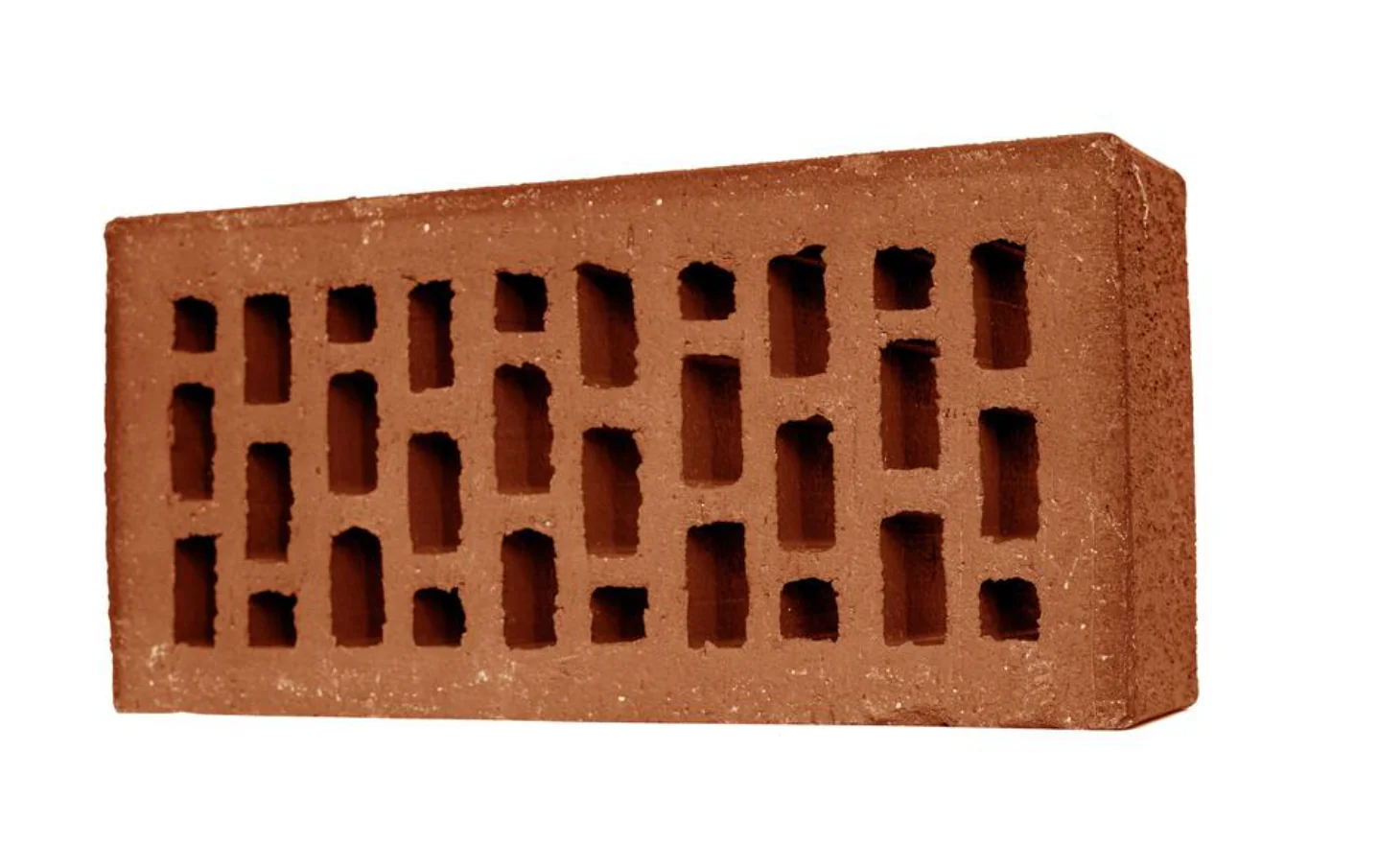 200T CSEB Clay Bricks Press finished product 3