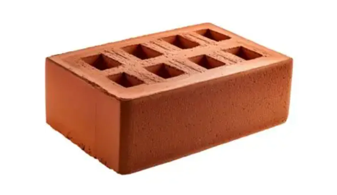 200T CSEB Clay Bricks Press finished product 4