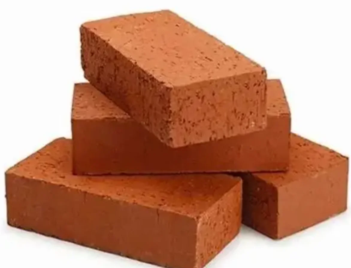200T CSEB Clay Bricks Press finished product 5