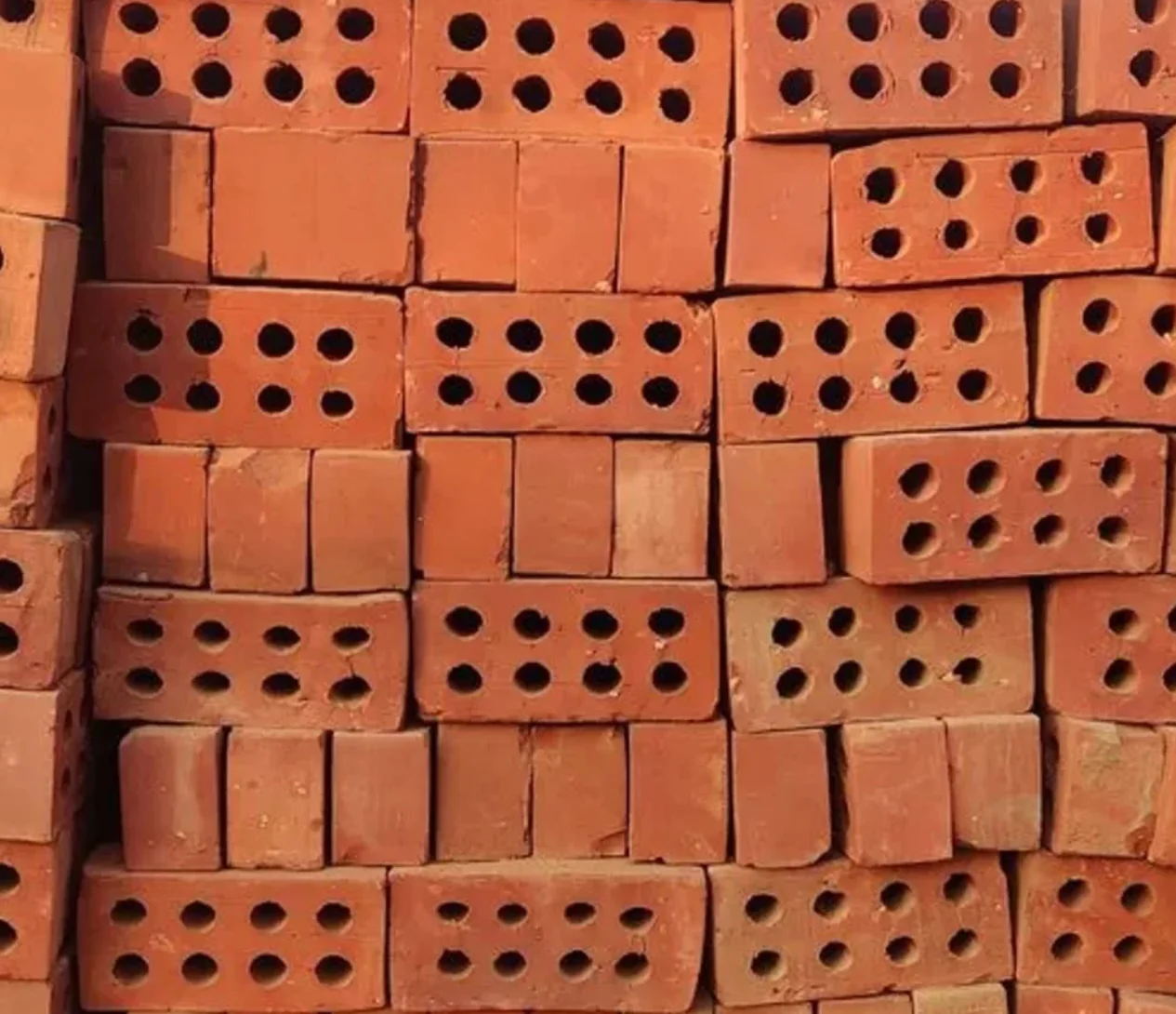 315T CSEB Clay Bricks Press finished product 2