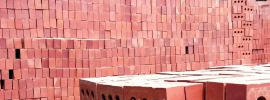 400T CSEB Clay Bricks Press finished product 2