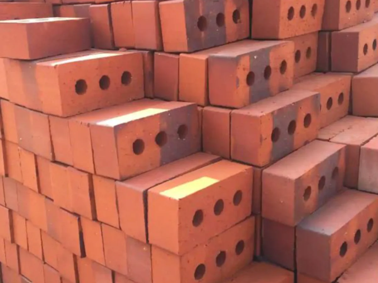 400T CSEB Clay Bricks Press finished product 3
