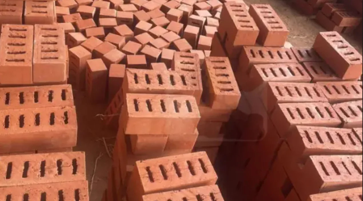 400T CSEB Clay Bricks Press finished product 5