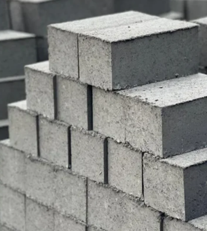 100T Bottom Pond Ash Bricks Press finished product 6
