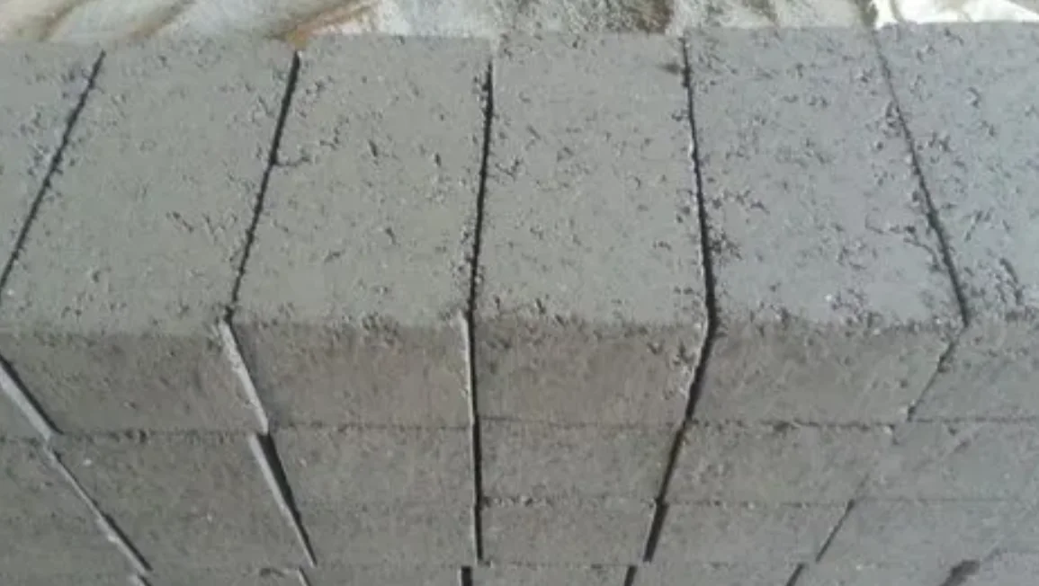 315T Bottom Pond Ash Bricks Press finished product 3