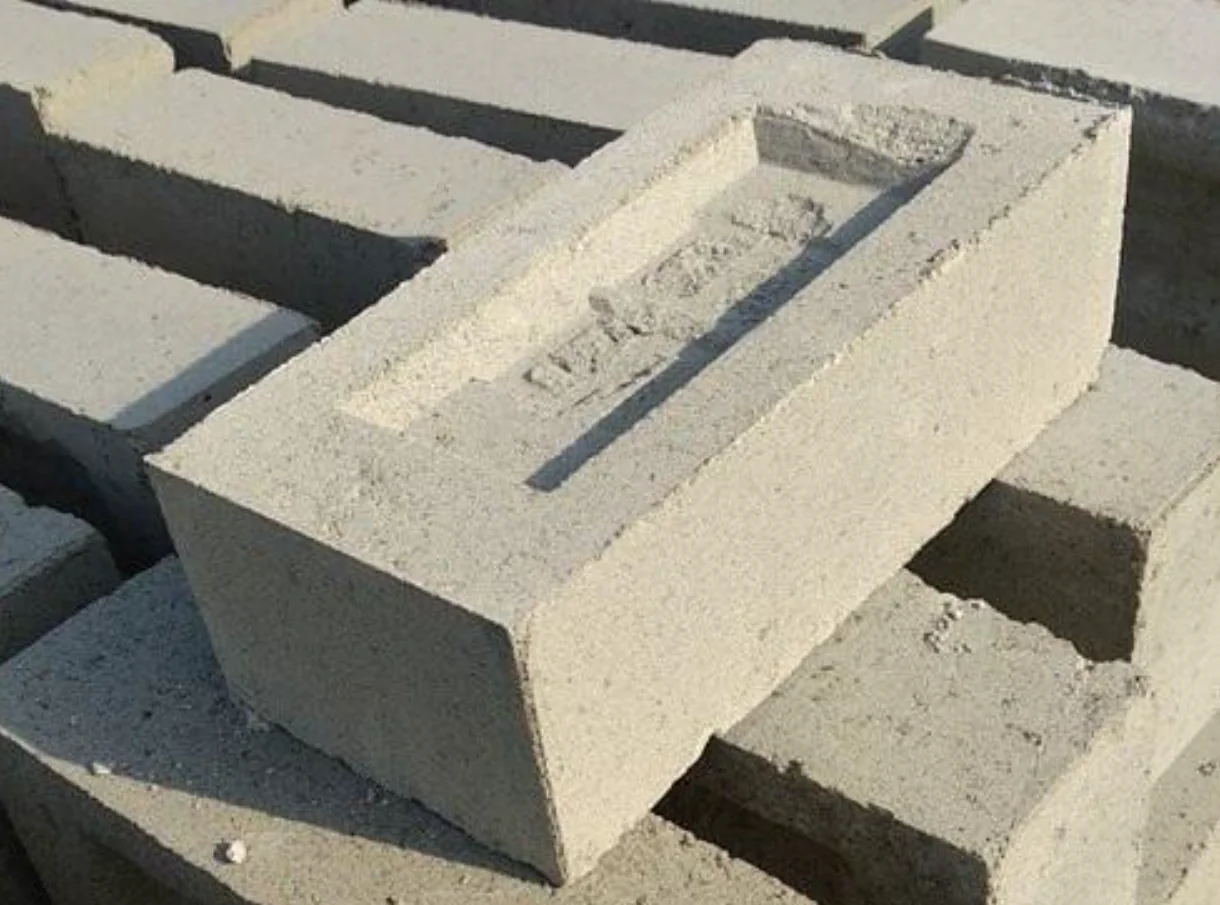 315T Bottom Pond Ash Bricks Press finished product 5
